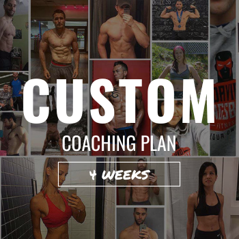 custom progeam (500 × 500 px) (6).png